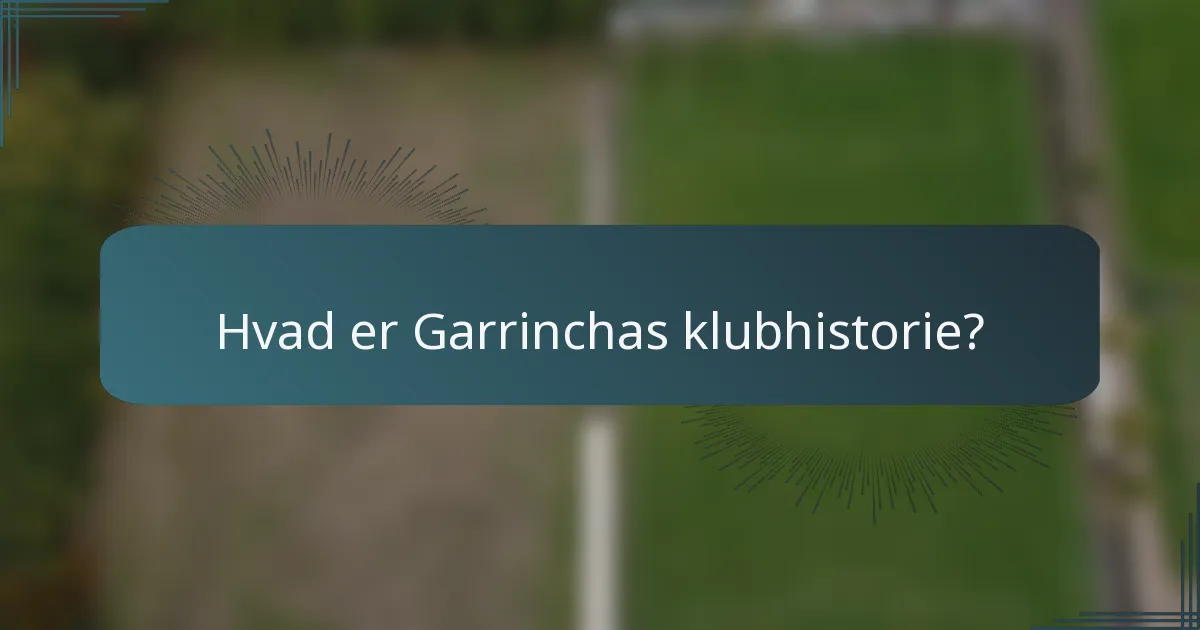 Hvad er Garrinchas klubhistorie?