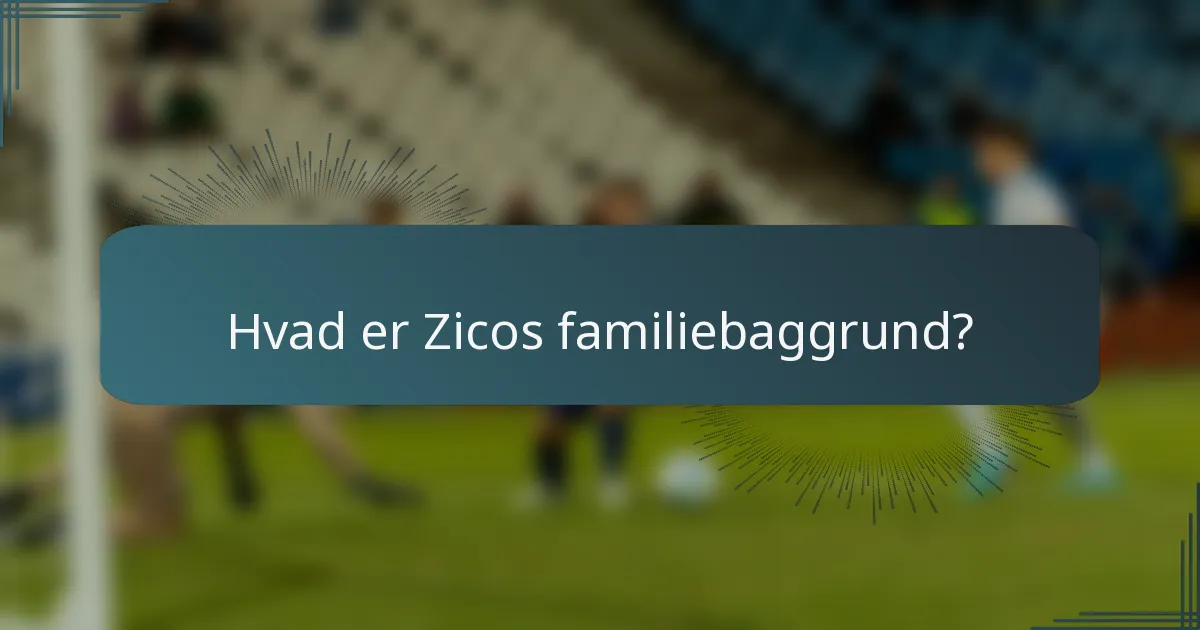 Hvad er Zicos familiebaggrund?
