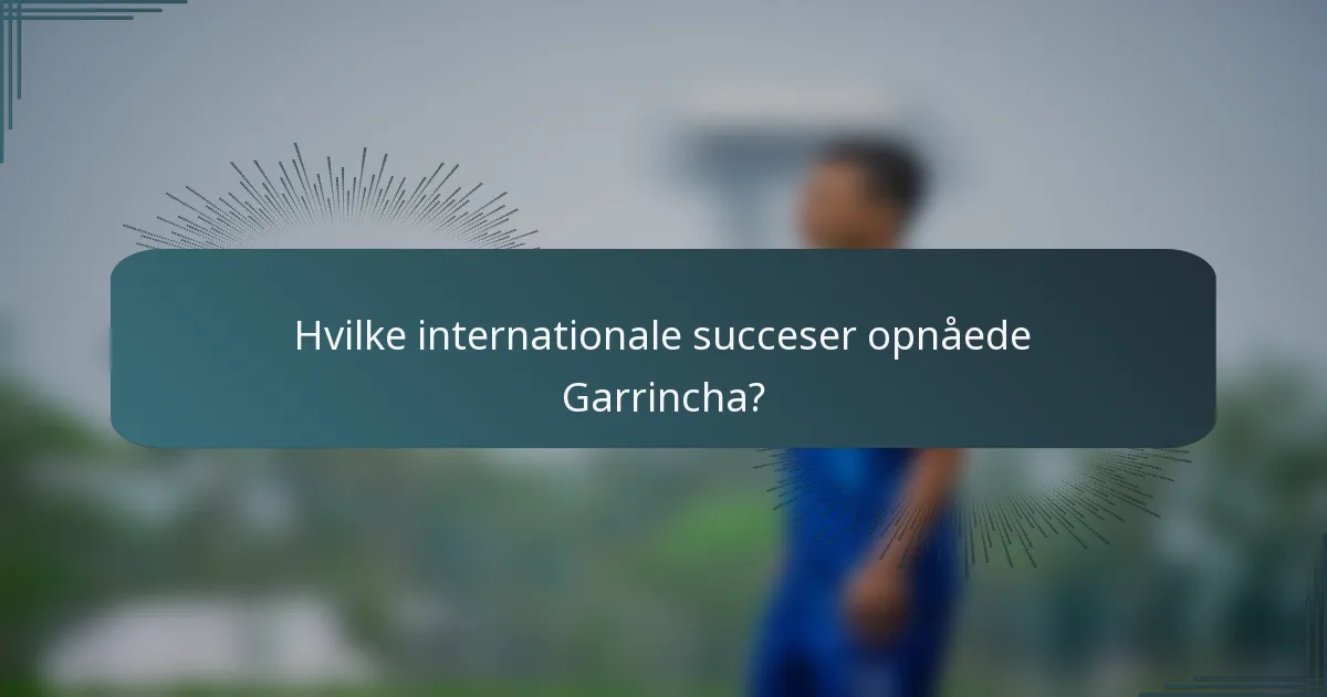 Hvilke internationale succeser opnåede Garrincha?