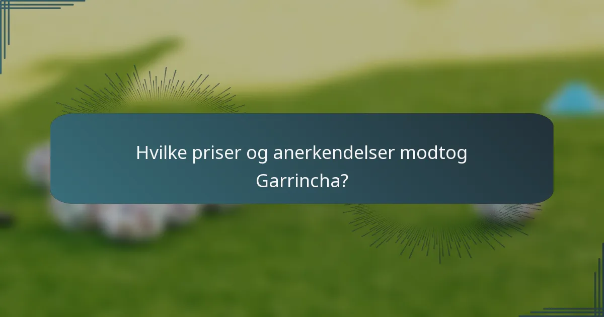 Hvilke priser og anerkendelser modtog Garrincha?